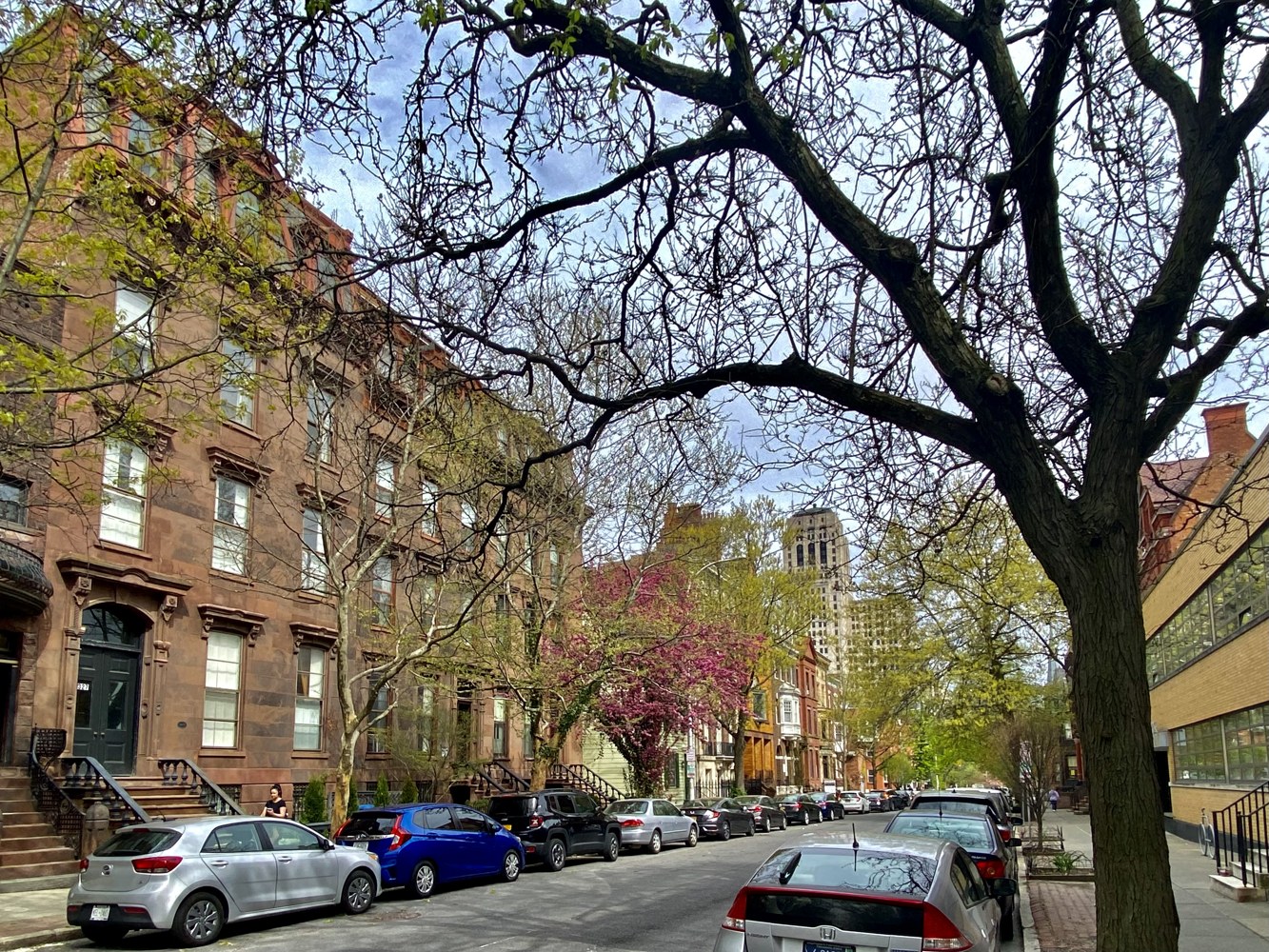Historical Albany residential streetscape